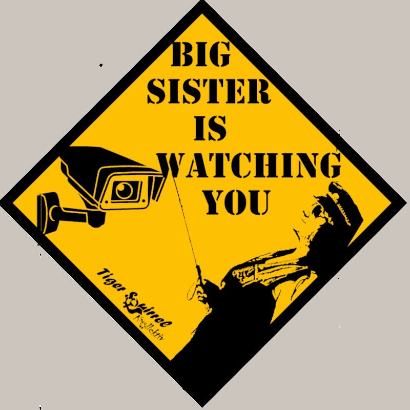 Big Sister is warching you